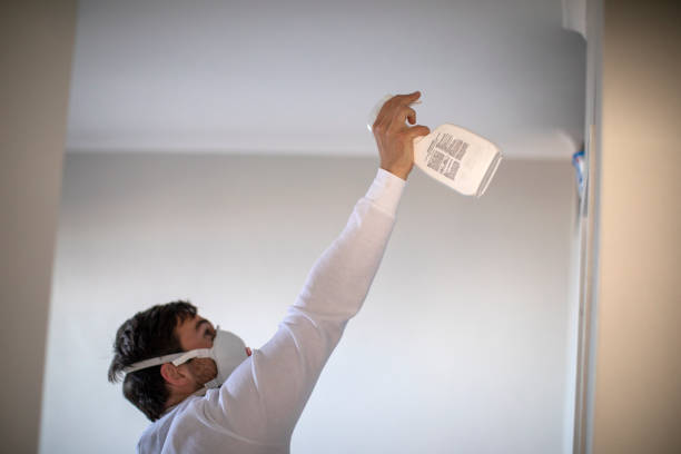 Best Crawl Space Mold Removal  in Comanche, TX