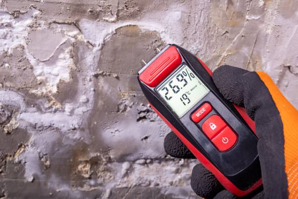 Reliable Comanche, TX Mold Removal Solutions