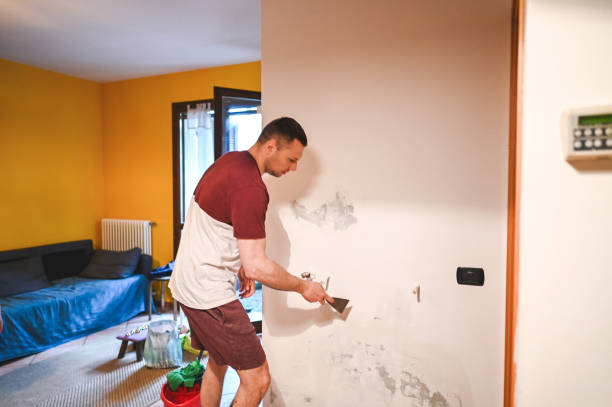 Mold Testing and Removal in Comanche, TX